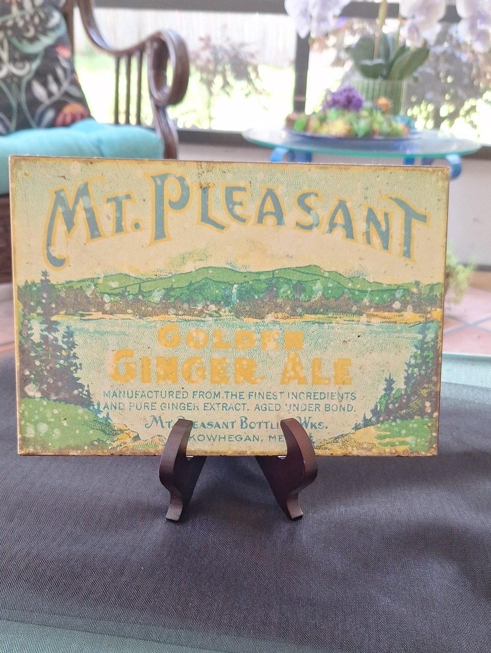 Mt. Pleasant Golden Ginger Ale Vintage Sign - Green & Blue
